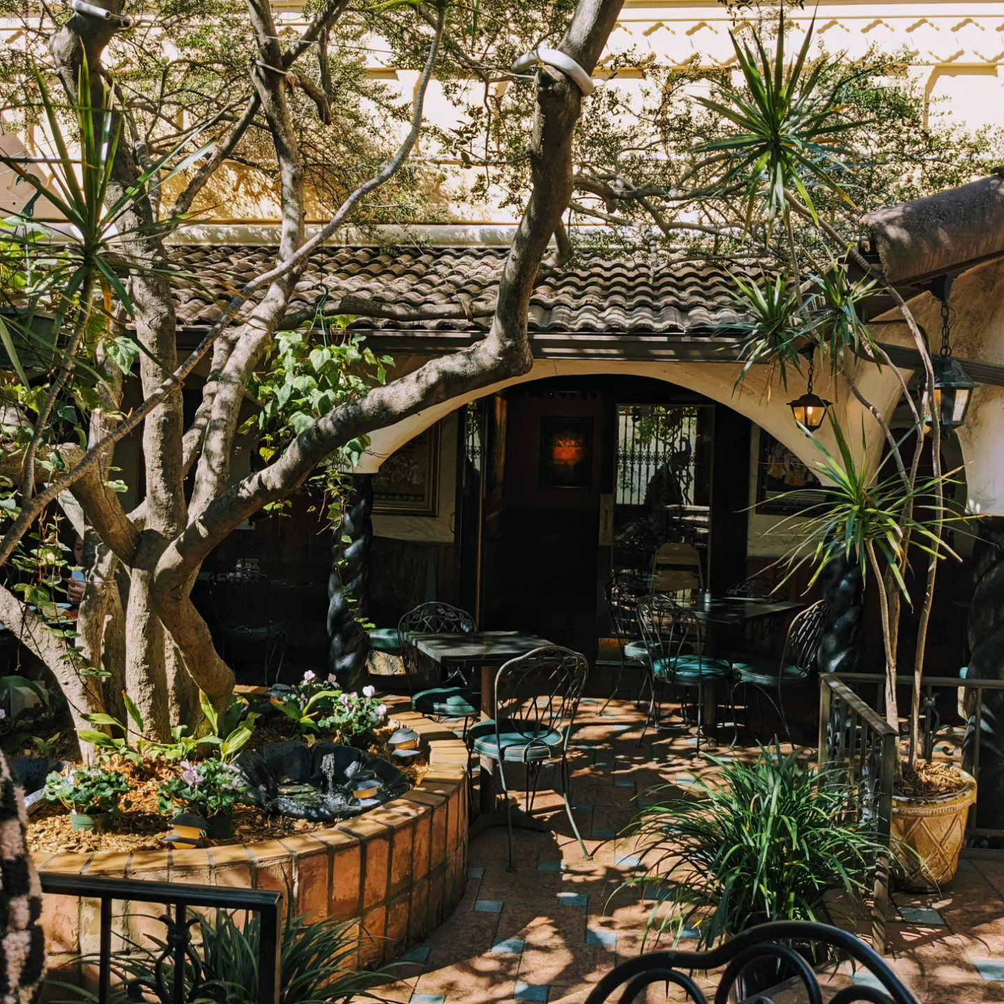 The outdoor courtyard of an Indian restaurant with trees and tile