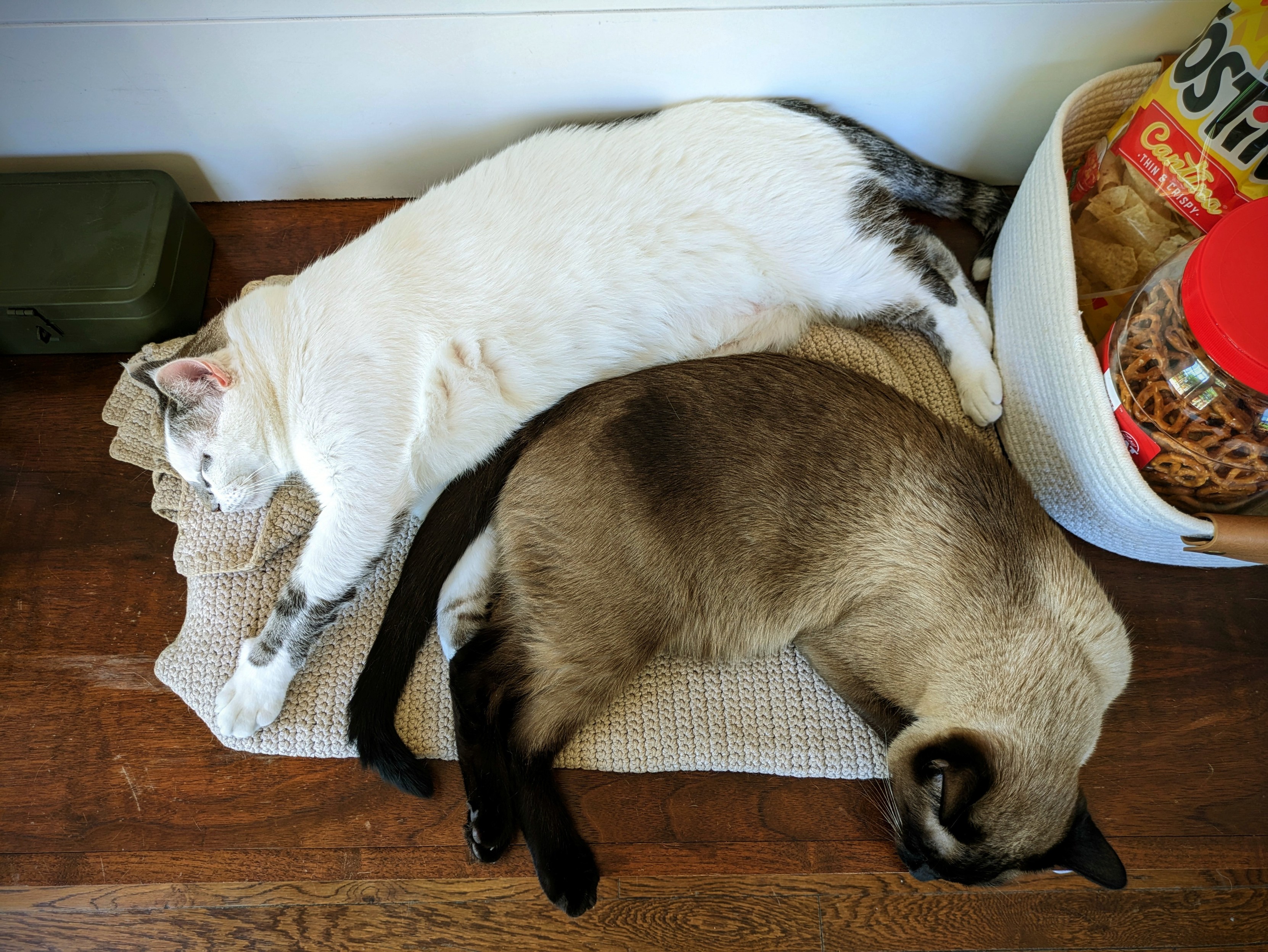 Two cats sleeping together