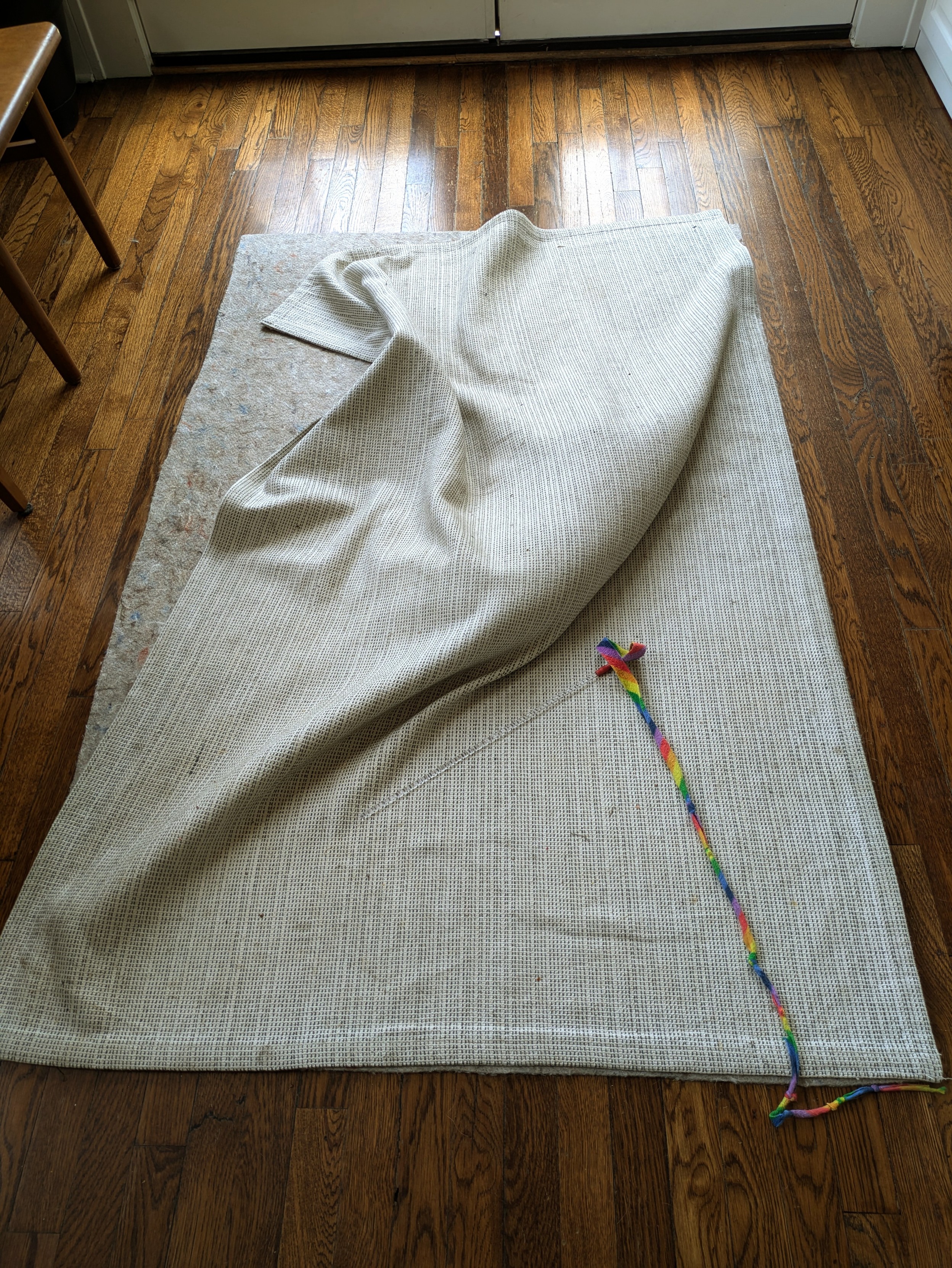 Photo of disheveled rug with something under it. That something is a cat