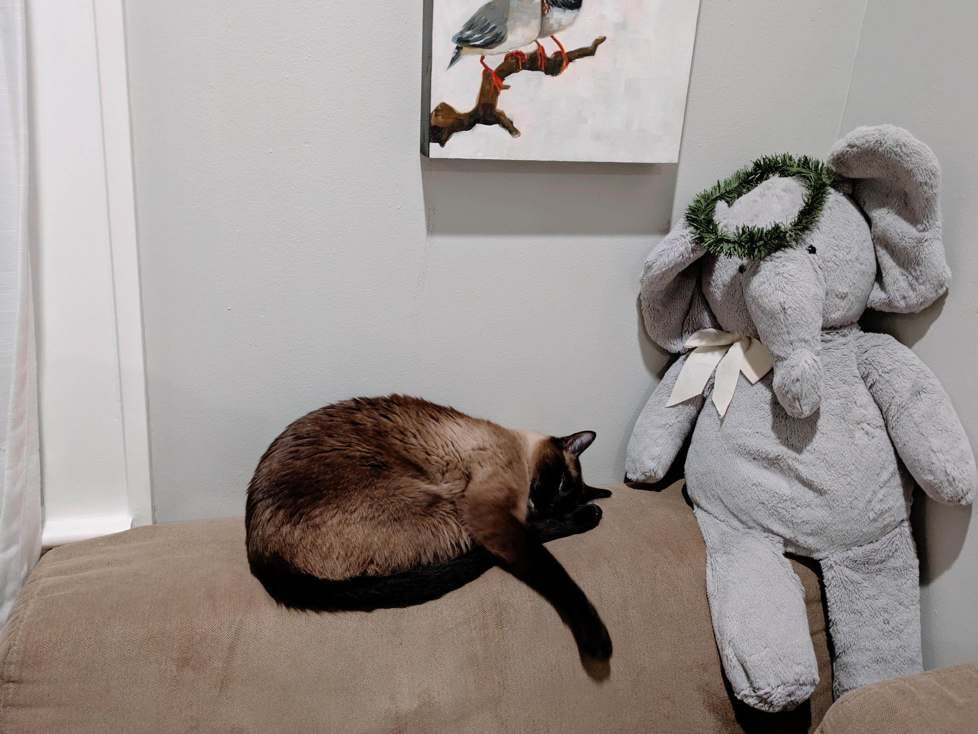 A Siamese cat laying on the end of a couch next to a stuffed elephant toy. The car is curled in a ball except for one leg splayed out over the end